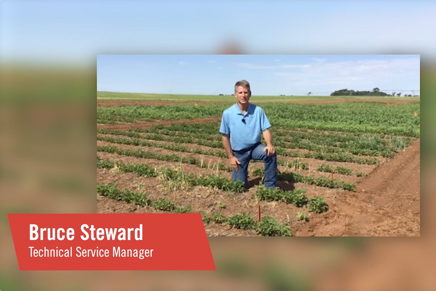 Bruce Steward, Technical Service Manager