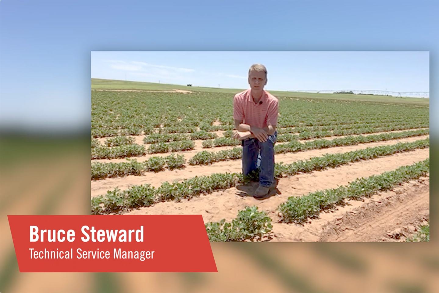 Bruce Steward, Technical Service Manager