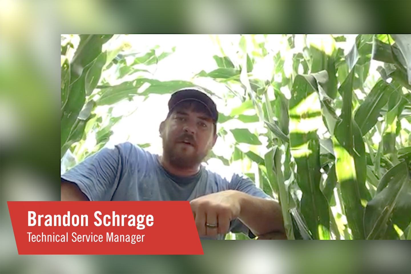Corn Rootworm Tech Talk FMC