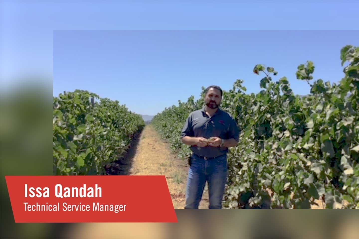 FMC Upside tech talk Grapevine trunk disease