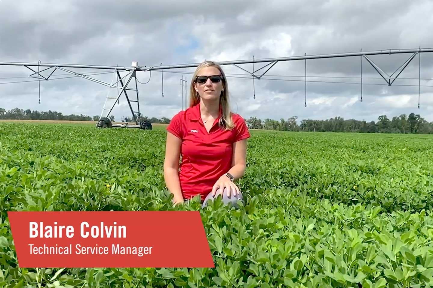 FMC Tech Talk Peanut Disease Lucento fungicide