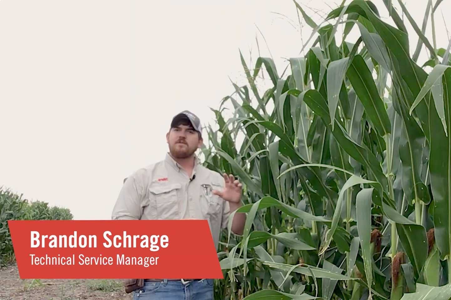 FMC Tech talk Corn disease lucento fungicide