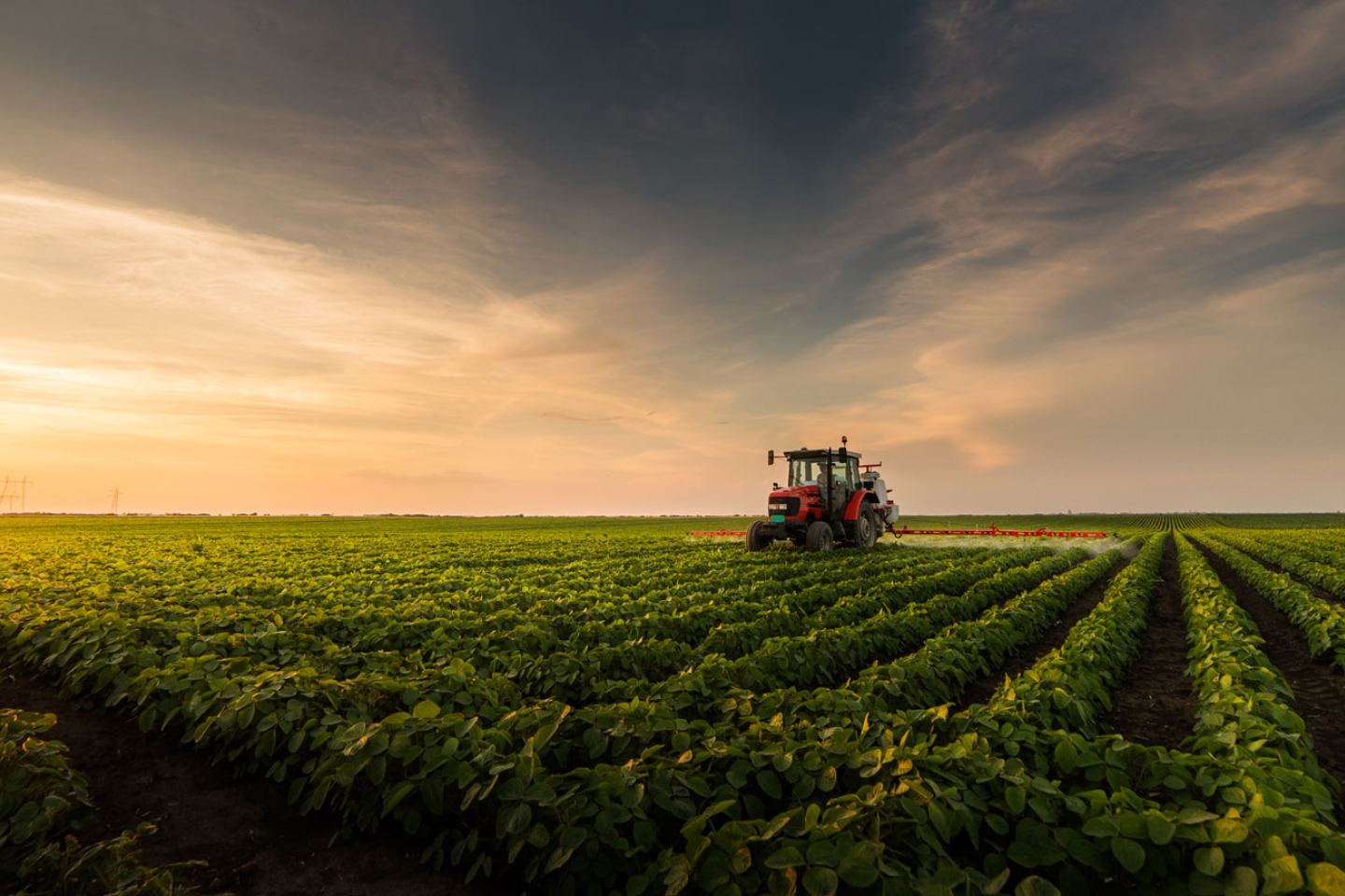 Tractor spraying soybean field
