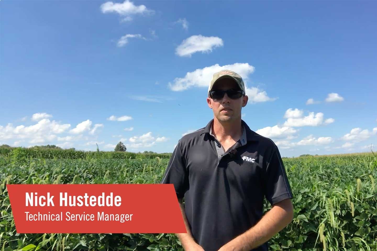 FMC burndown Panoflex herbicide