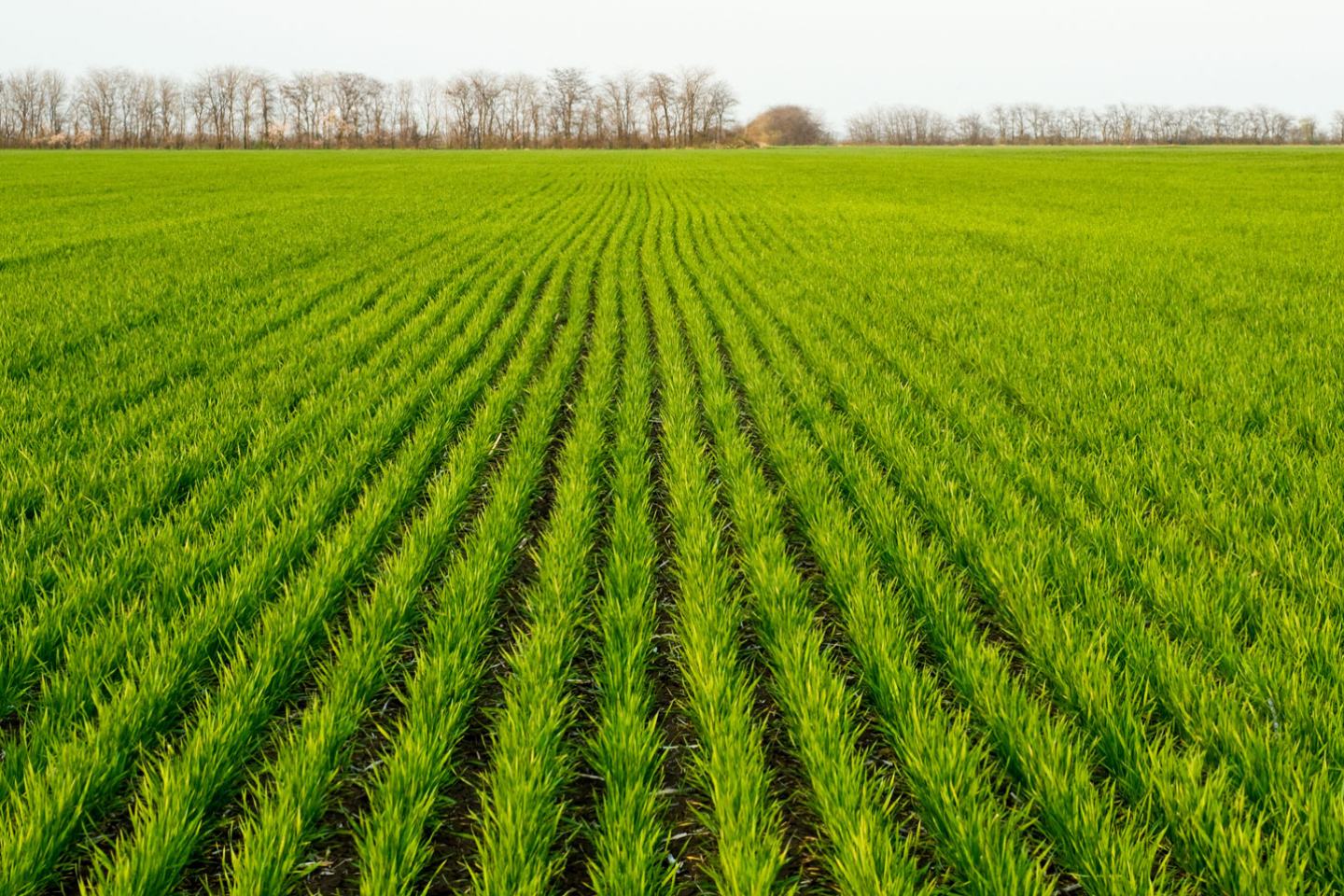 Start clean, stay clean fall herbicide programs