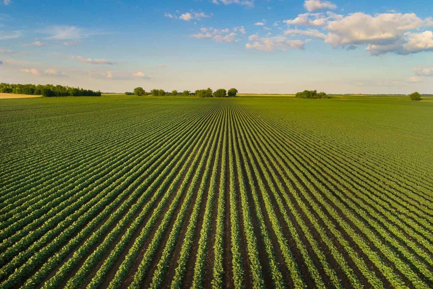 Managing Resistant Weeds