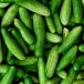 Cucurbits