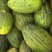 Group of melons