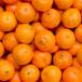Group of oranges