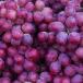 Group of red wine grapes