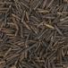 Close up of wild rice