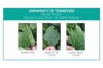 Lucento Fungicide Tennessee Comapairison