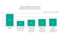 Gray Leaf Spot Comparison Graph