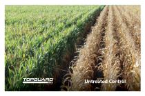 Topguard EQ Southern Rust Side By Side