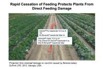 Verimark Rapid Cessation Feeding Comparison
