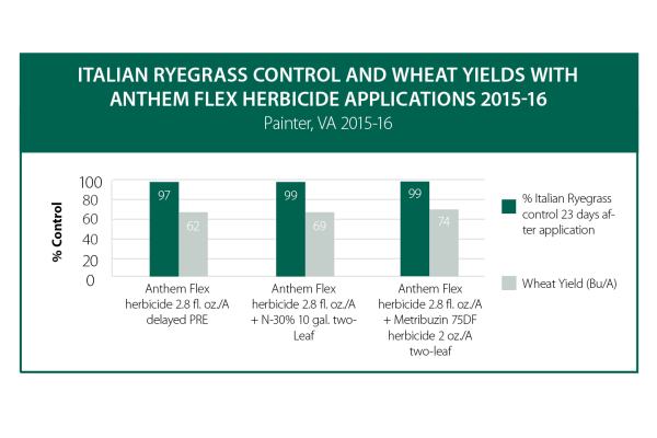 Anthem Flex Herbicide Winter Wheat Control