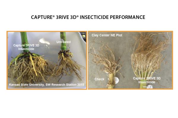 Capture 3RIVE 3D Comparison