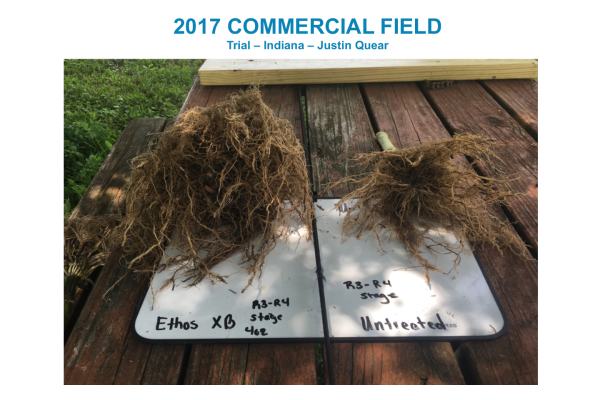 Ethos XB Commercial Field Comparison