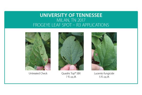 Lucento Fungicide Tennessee Comapairison