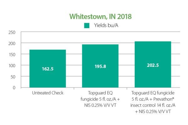 Corn Whitestown Indiana Disease
