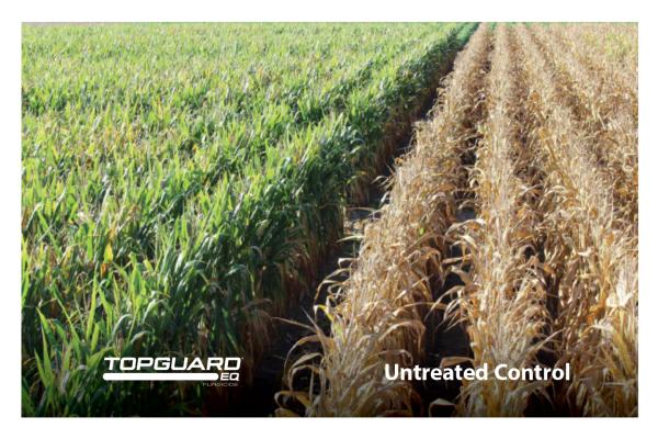 Topguard EQ Southern Rust Side By Side