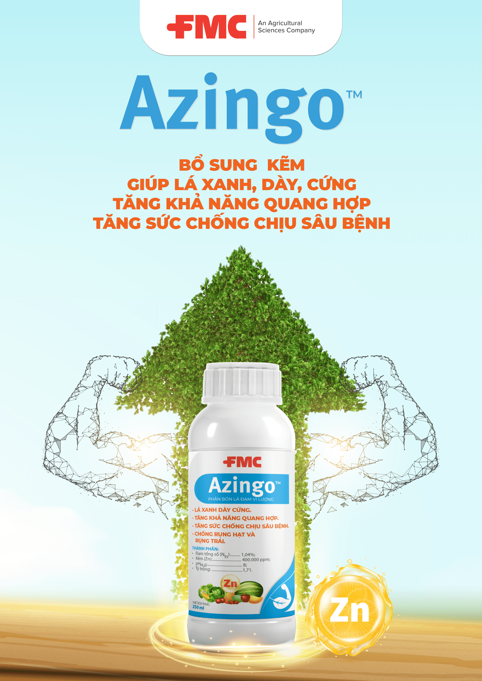 Azingo