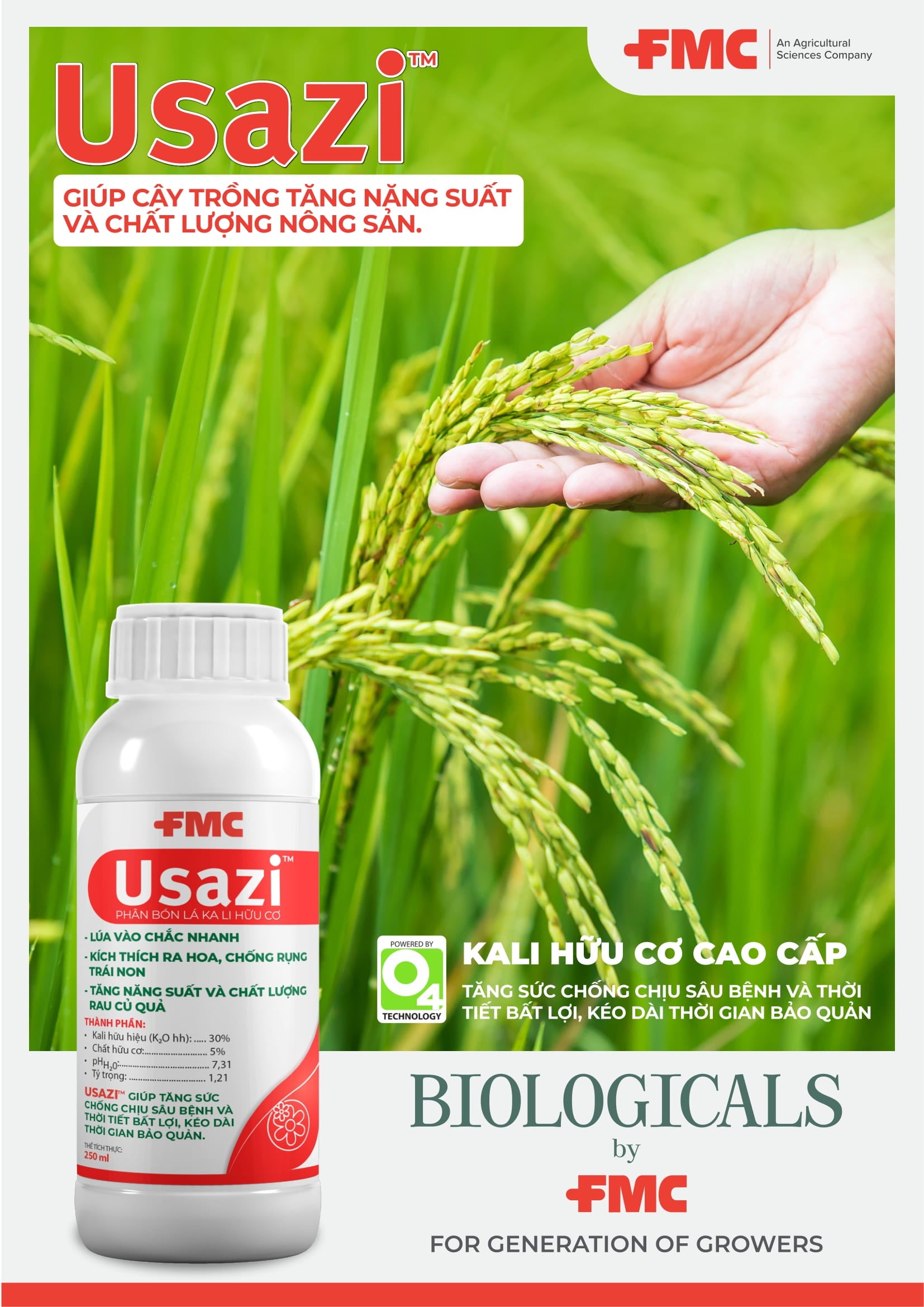 Usazi