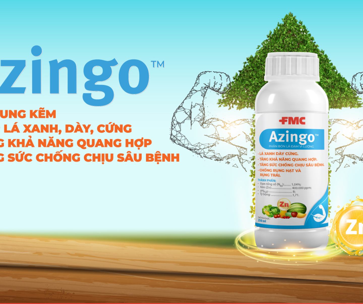 Azingo