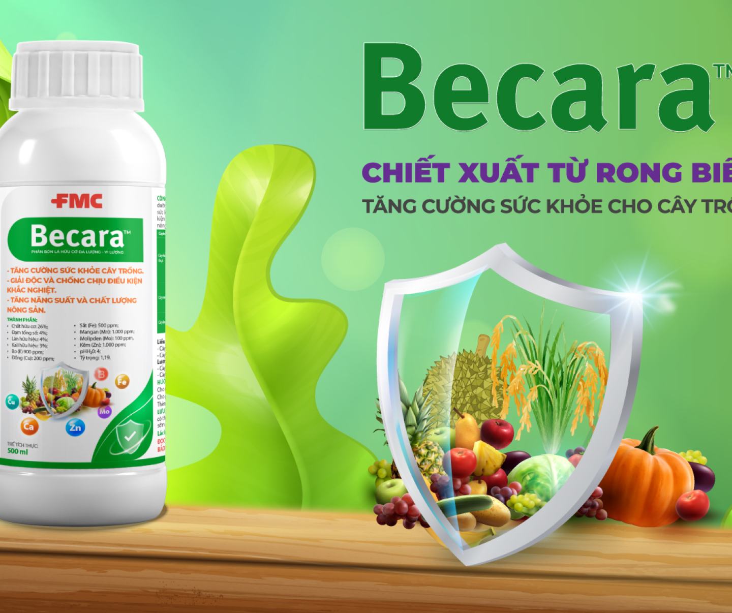 Becara