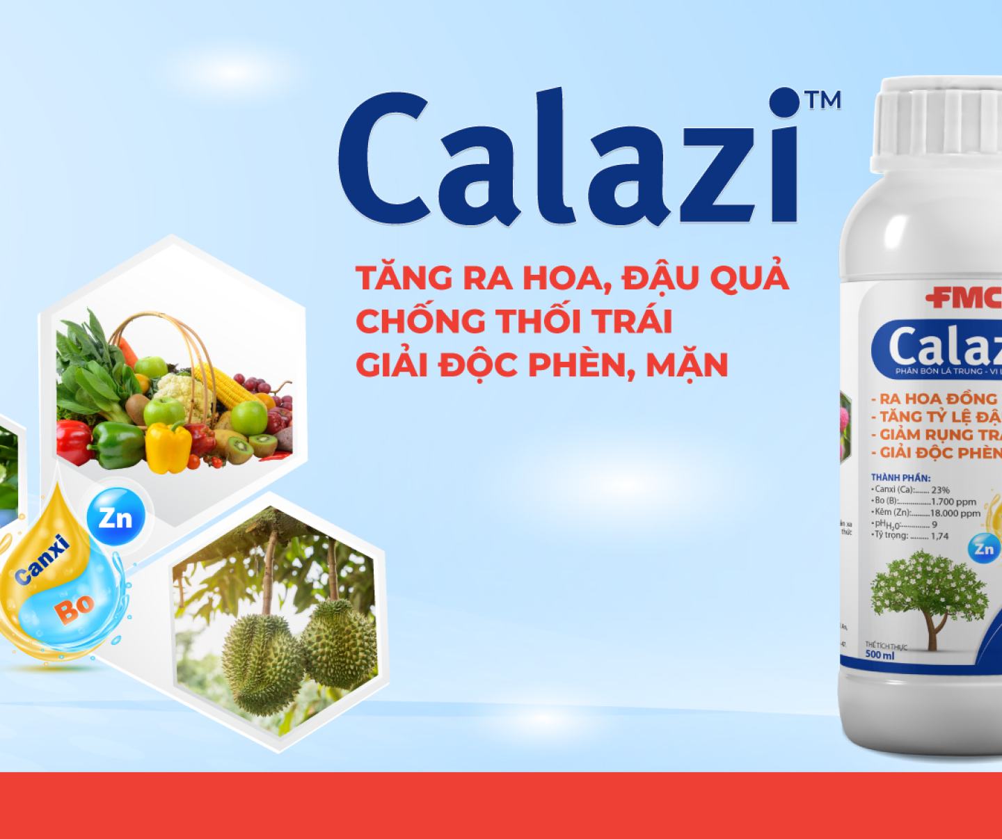 Calazi