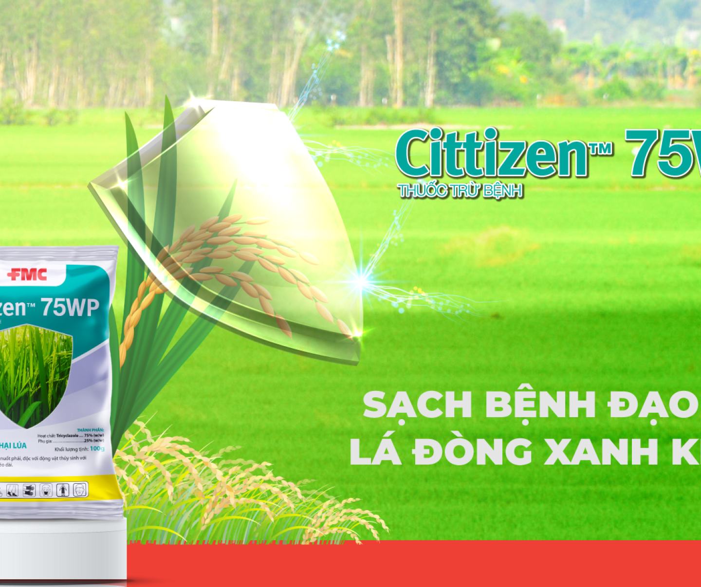 Cittizen
