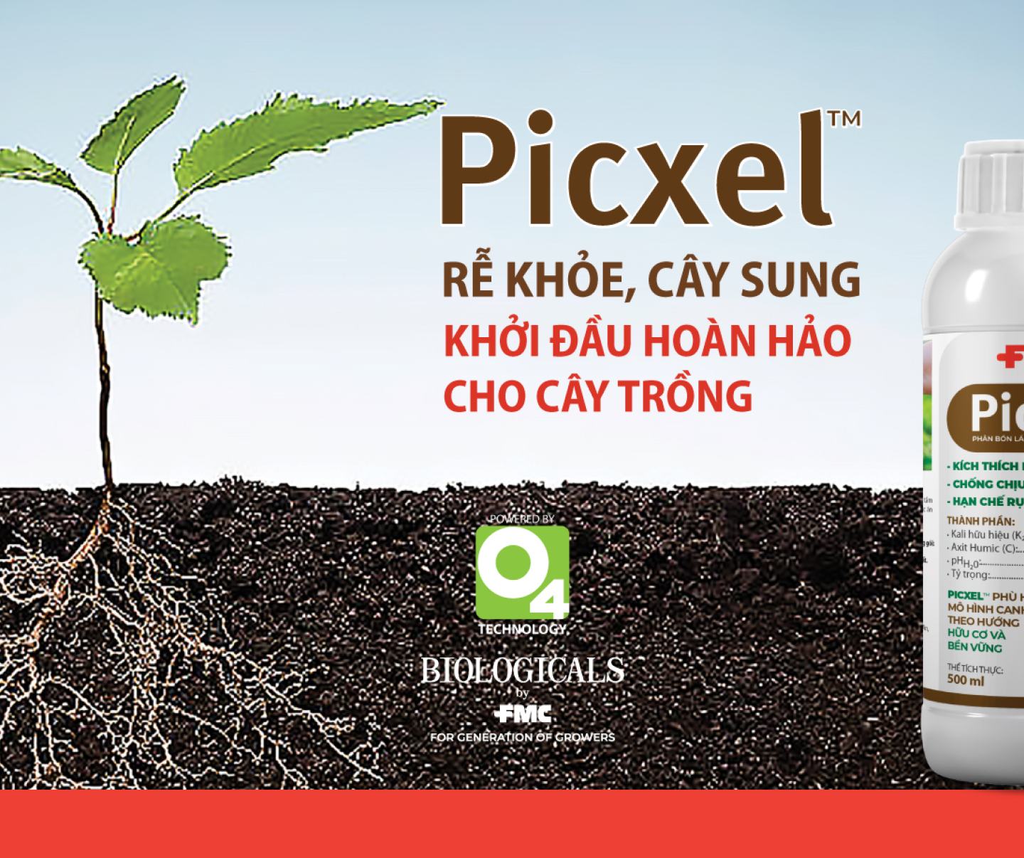 Picxel