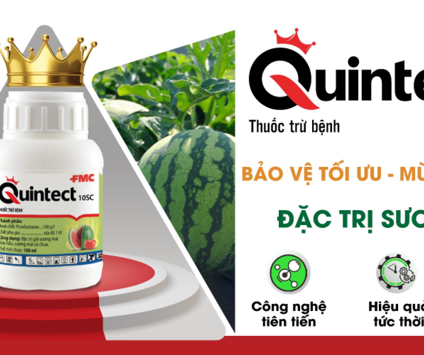 Quintect