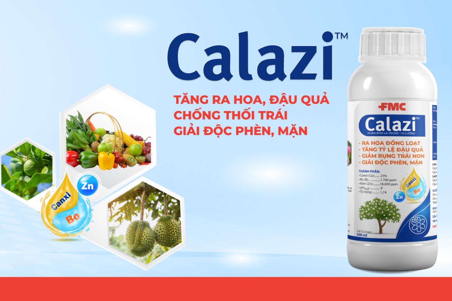 Calazi