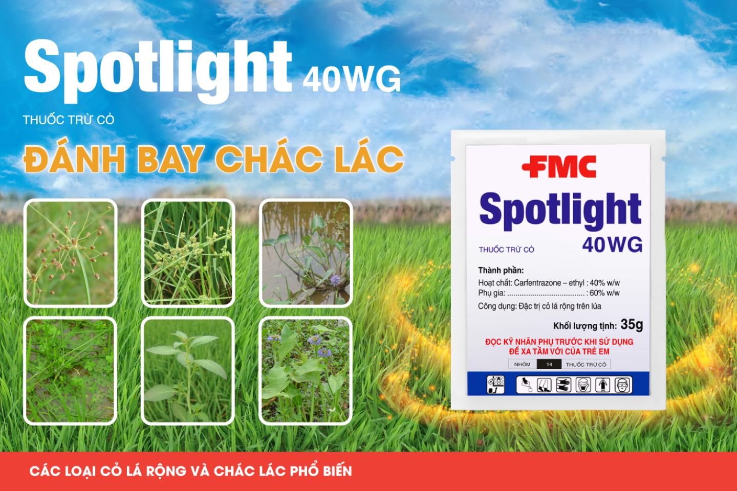 Spotlight 40WG