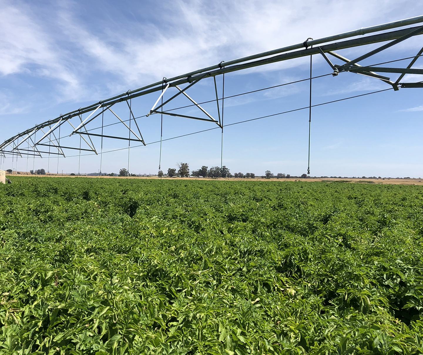 Field of greenery with modern agricultural equipment