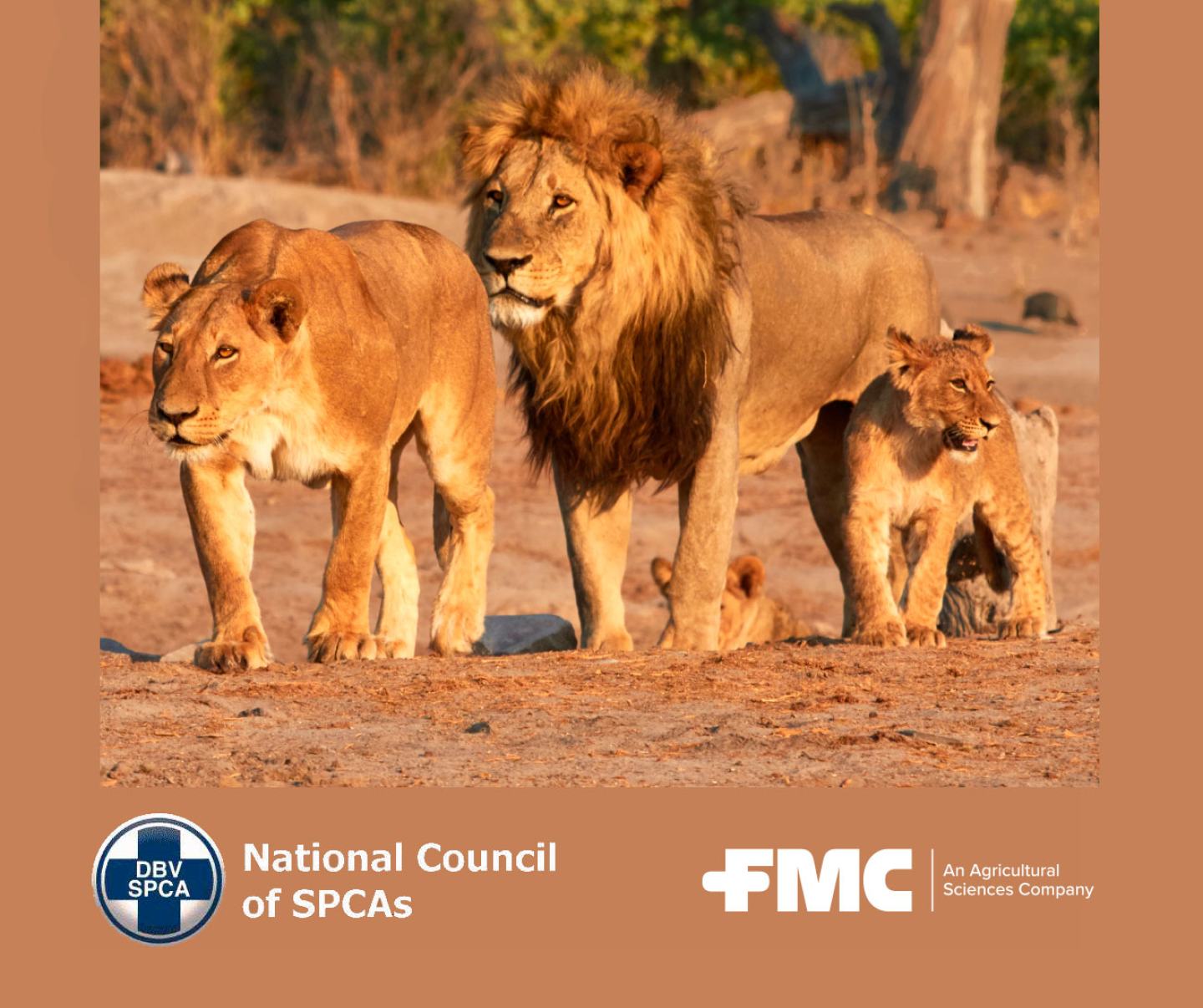 FMC supports the NSPCA of South Africa