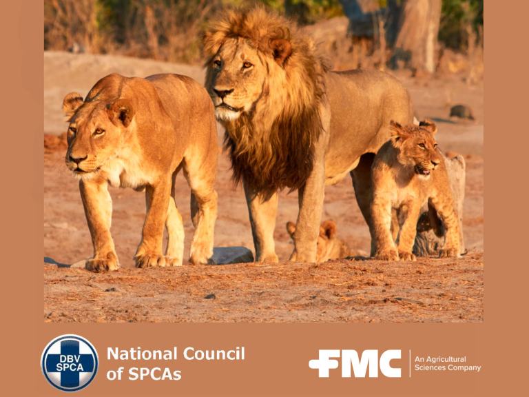 FMC supports the NSPCA of South Africa