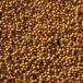 soybean seed