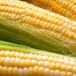 sweet corn